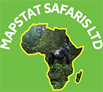 Rwanda Wildlife tours, Rwanda Self drive car rentals, Rwanda gorilla tours
